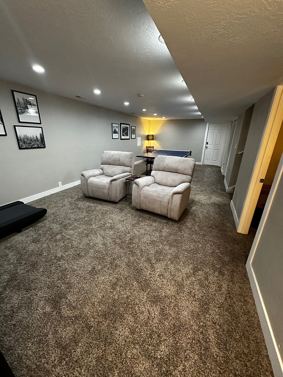 Basement Living Room