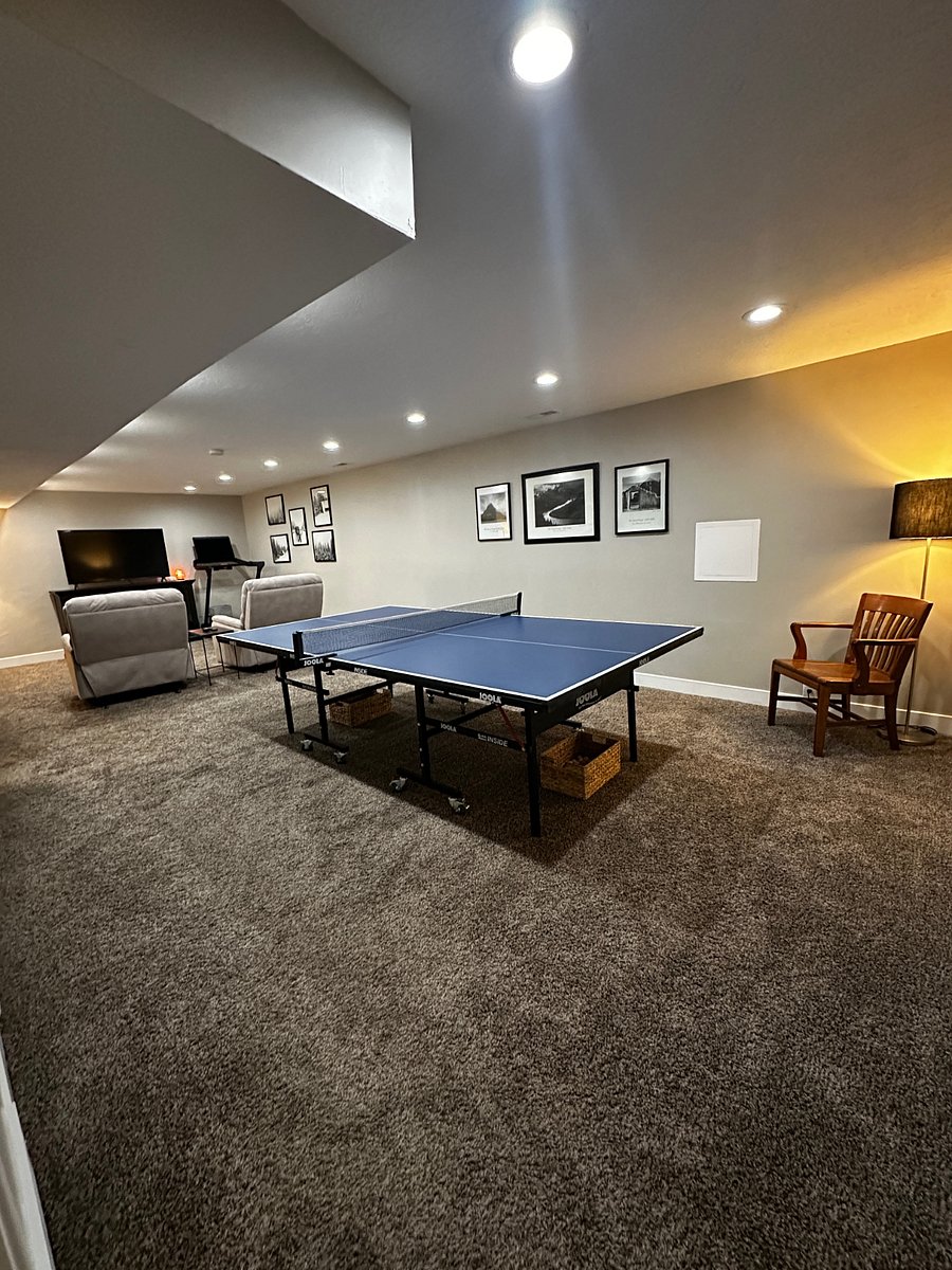 Basement Living Room