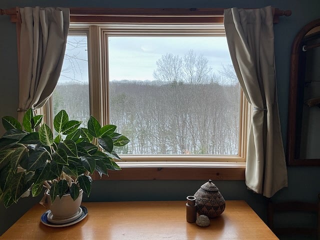 Picture window view to the west from the bedroom with 1 full bed.