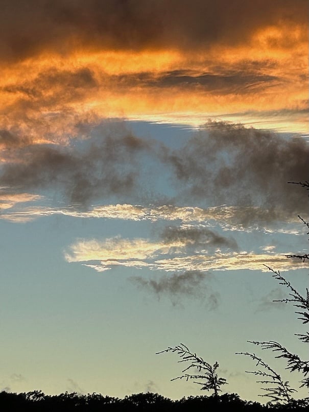 One of the special features of the property are the sunsets! These sunset shots are all taken from the back deck without any filters or editing!