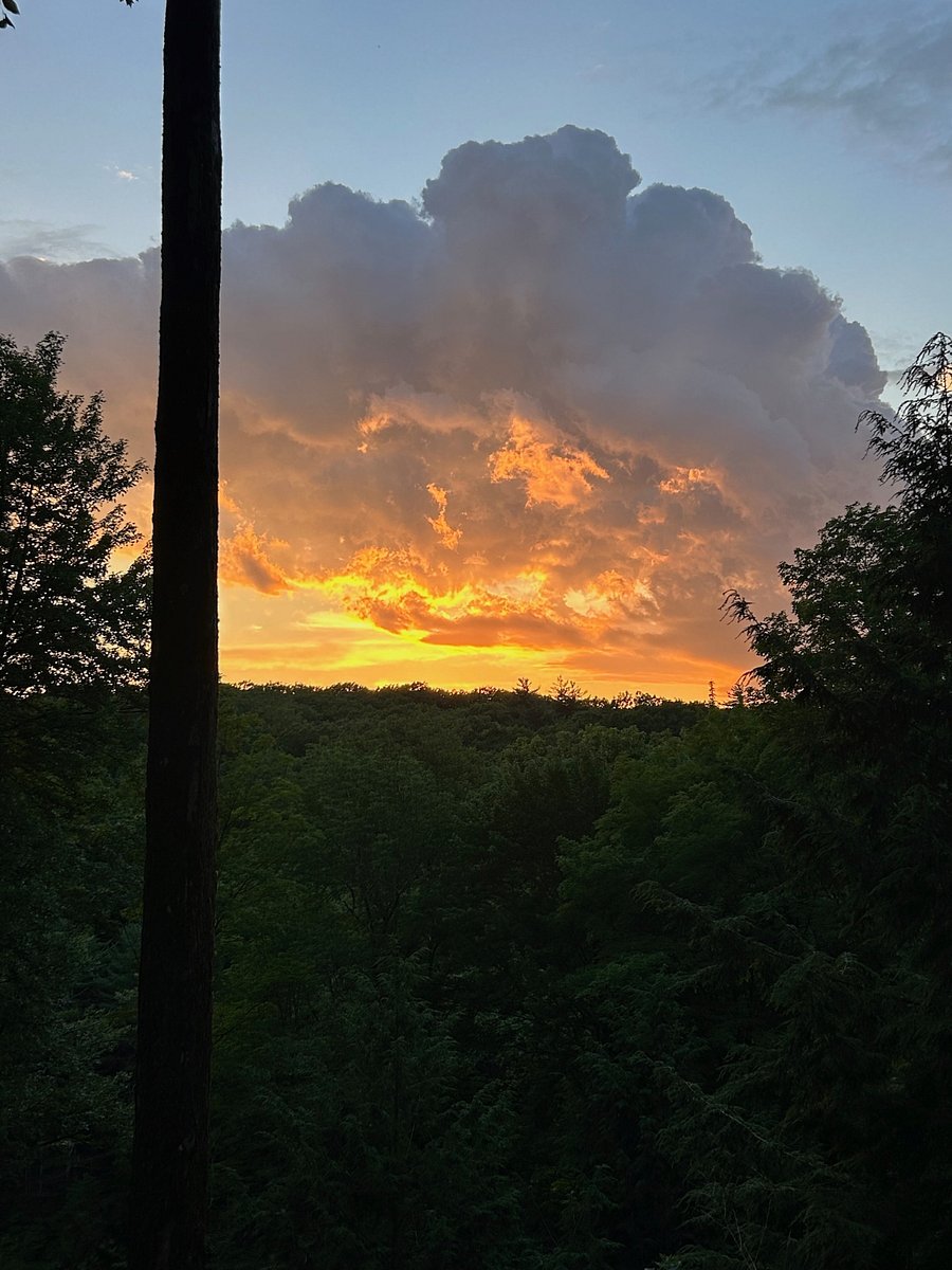 Special evening.