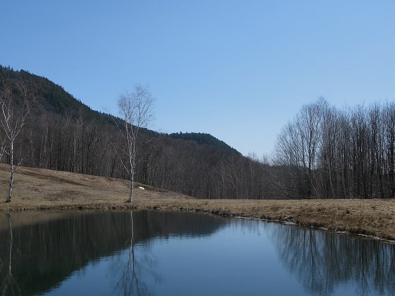 This is the Upper Pond. It's across the street and a beautiful, easy walk from the house. It's not our land but walkers are welcome. The views to the Adirondacks are lovely!
