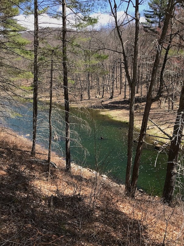 This is the lower pond below the house. Beavers take turns renovating their dams. Some years this is a pond, other years it's a meadow with a creek running through it.