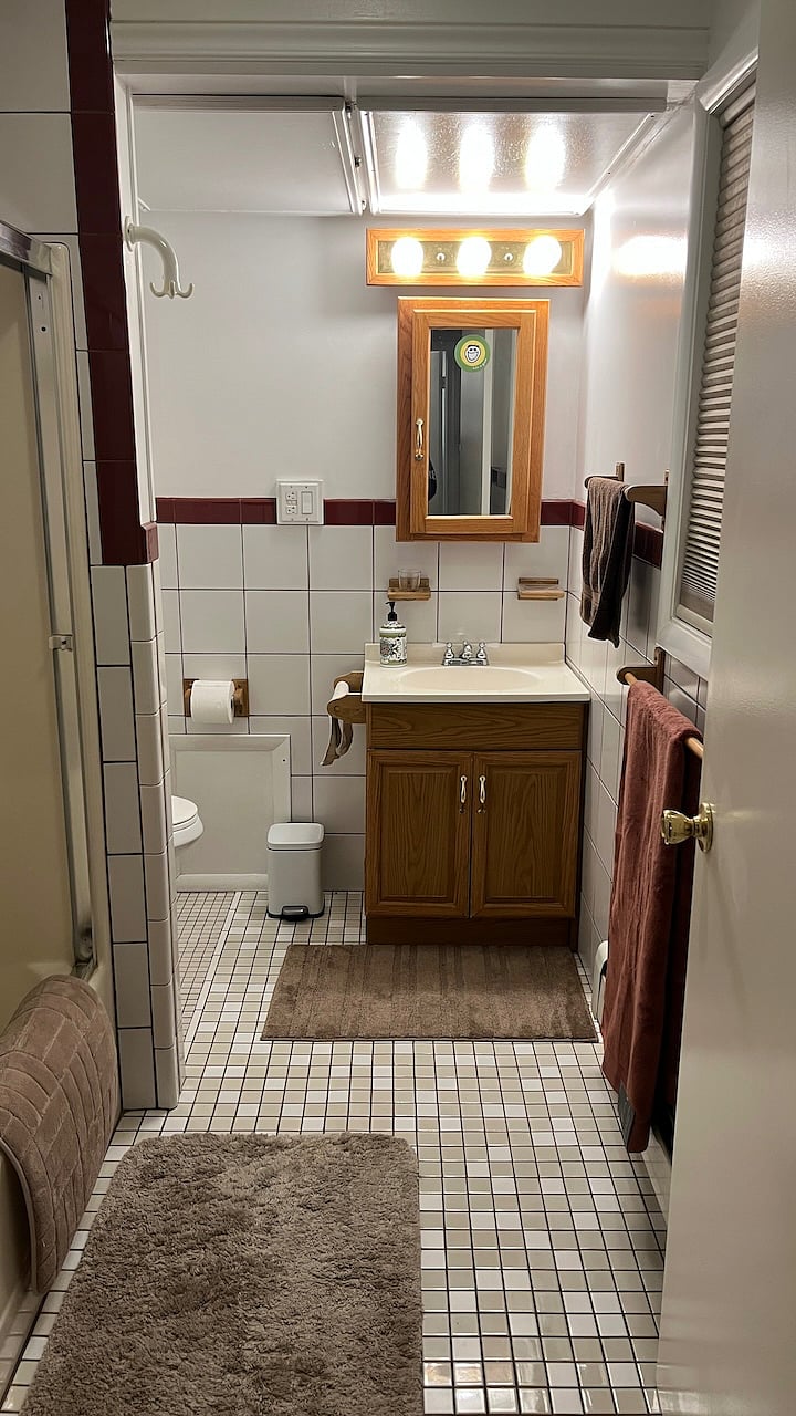 Bathroom from the door. Shower/tub on left. 