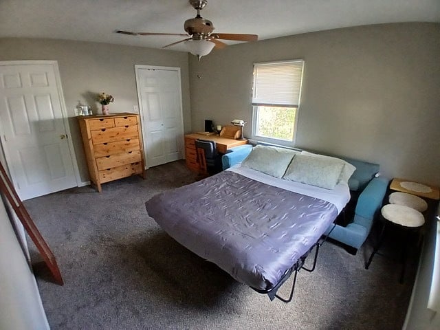 Secondary bedroom.
Full-size sofa bed.