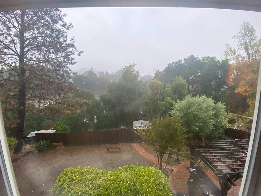view from living room window