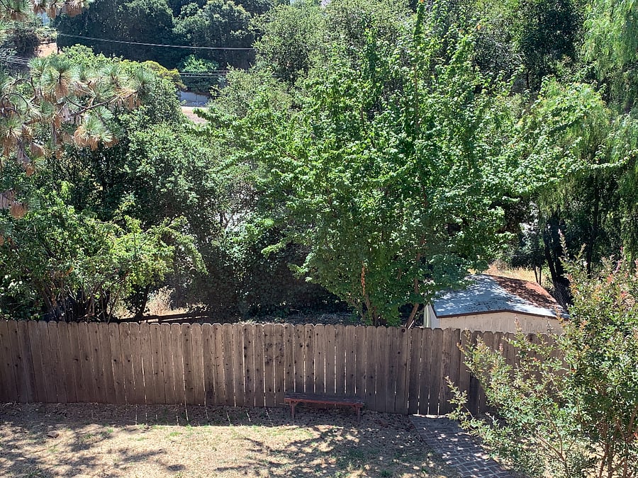 view from living room