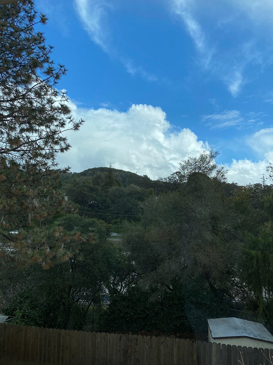 daytime view from living room