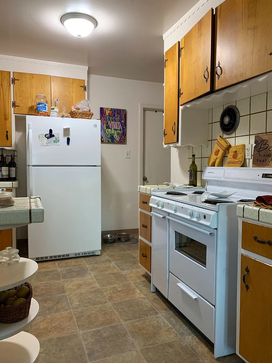electric stove/oven