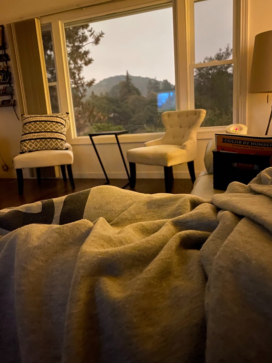 outdoor view from living room