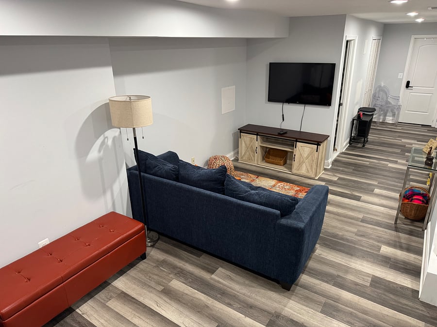 Private Basement Living Room