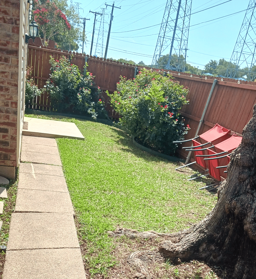 Yard