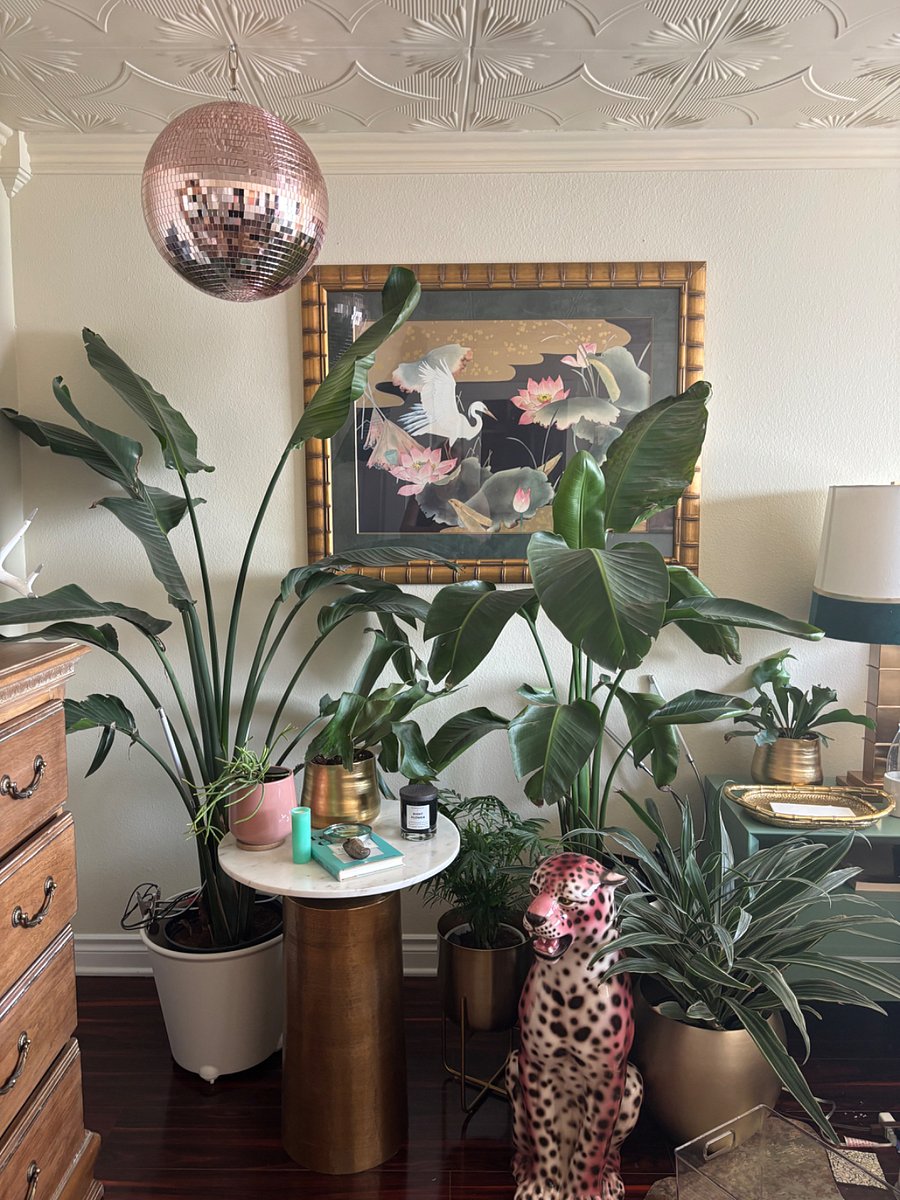 Lots of plants in the bedroom for purposes of joy.