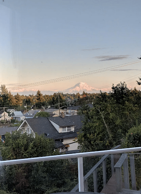 The view from the kitchen sink.