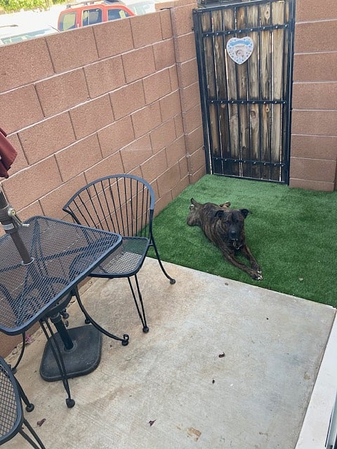 Pet friendly enclosed patio