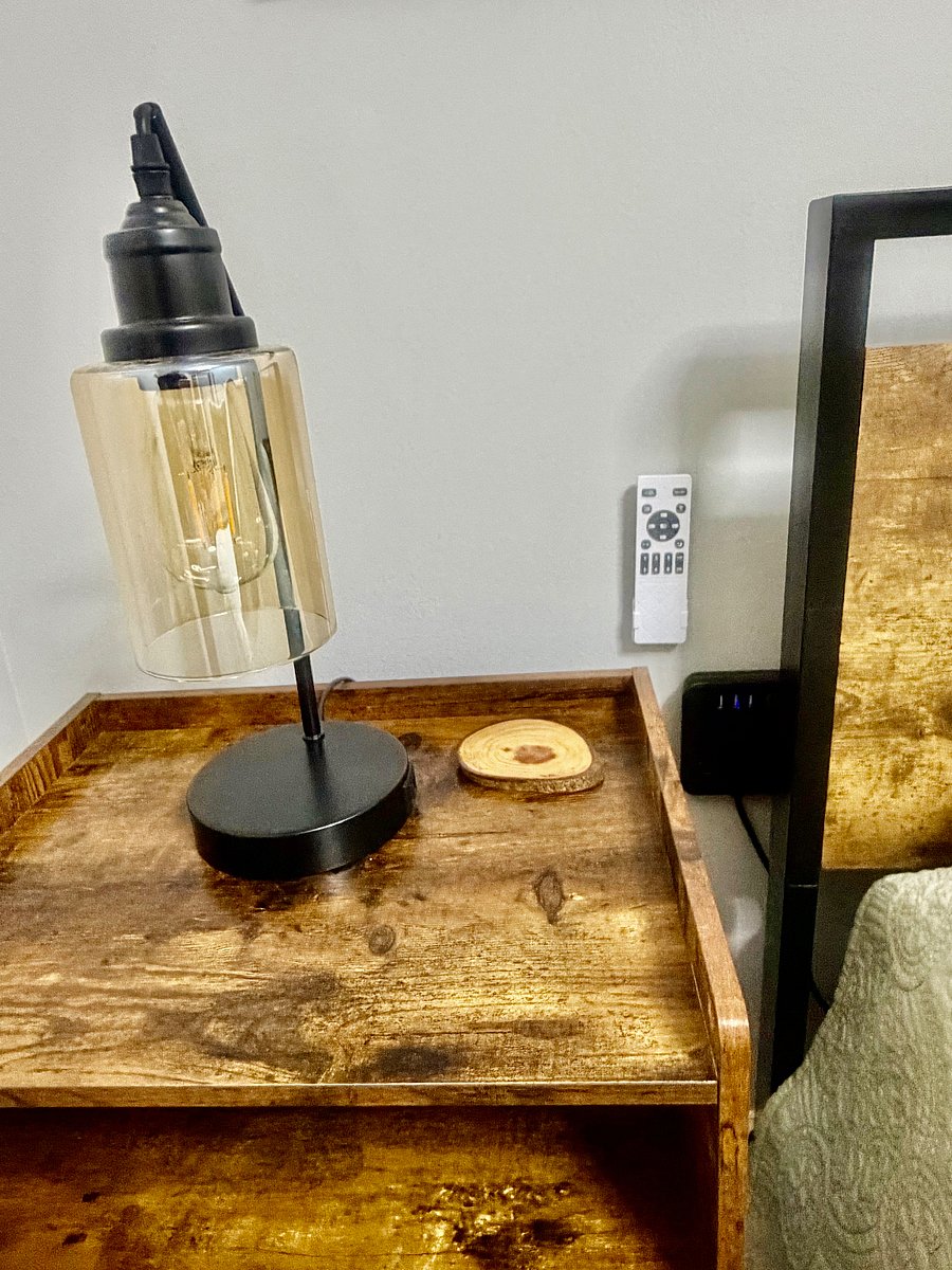 Jungle Room Fan and Light Remote Control