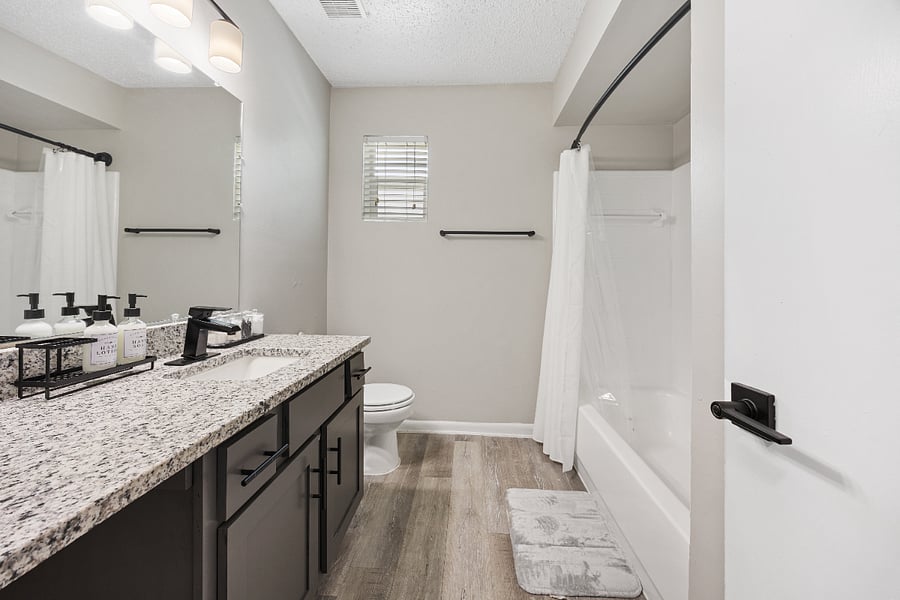 Full bathroom with toilet, tub, shower, hair dryer, bathroom essentials, etc.