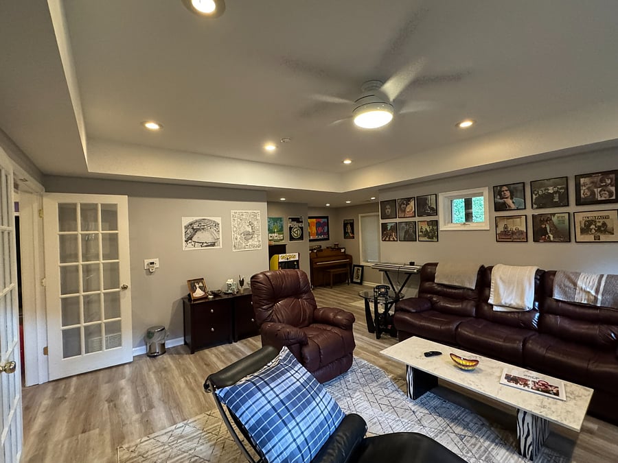 Basement Living Room