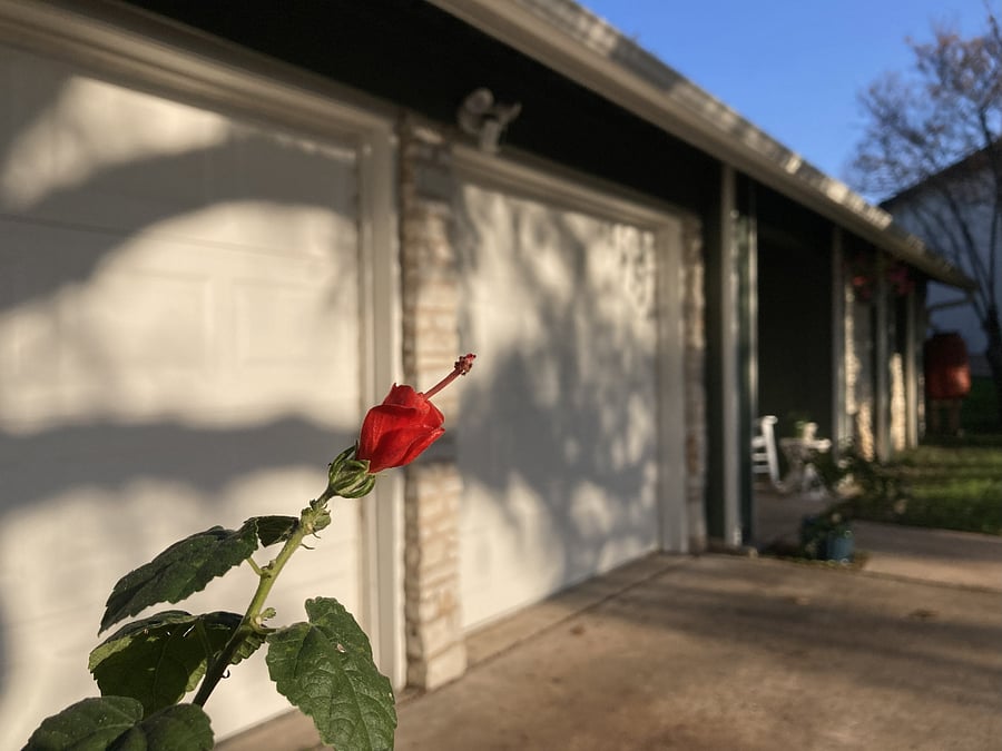 Two Car Garage