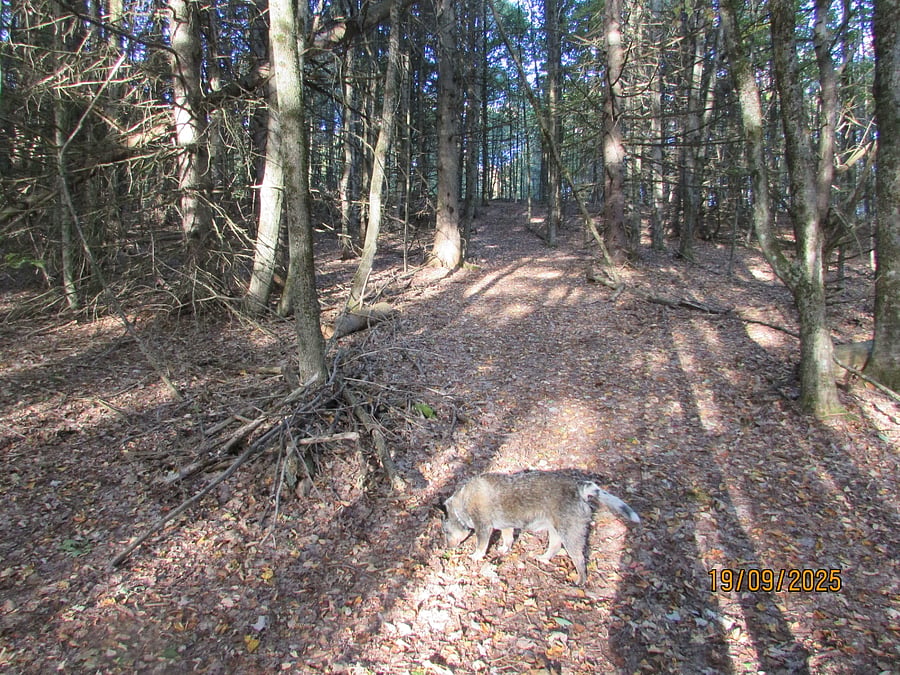 Trails throughout the property