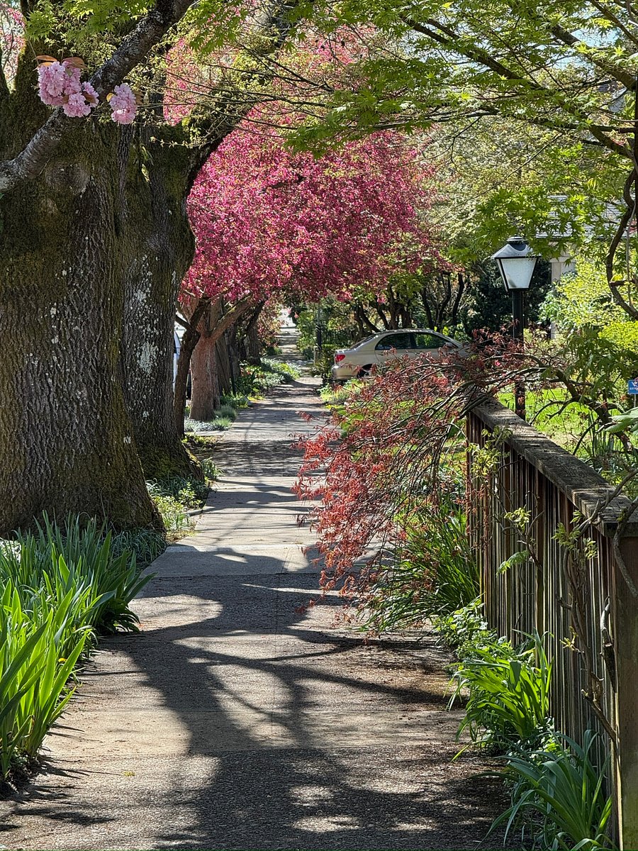 Our street