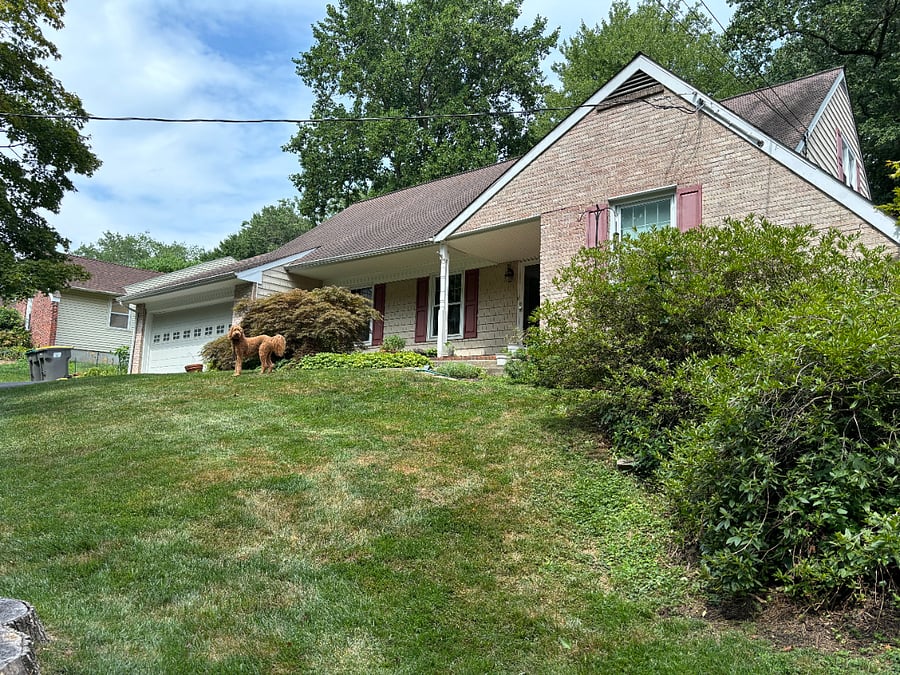 Front of home (dog for cuteness; she will be here when I am here)