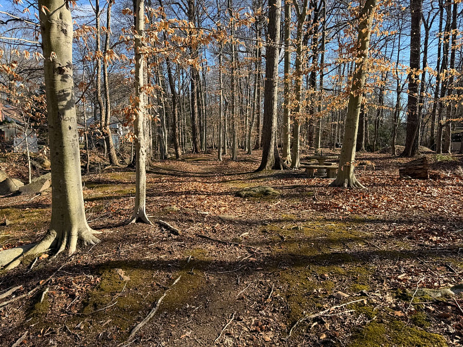 Wonderful paths within a three-minute walk! Prettier in the spring and summer!