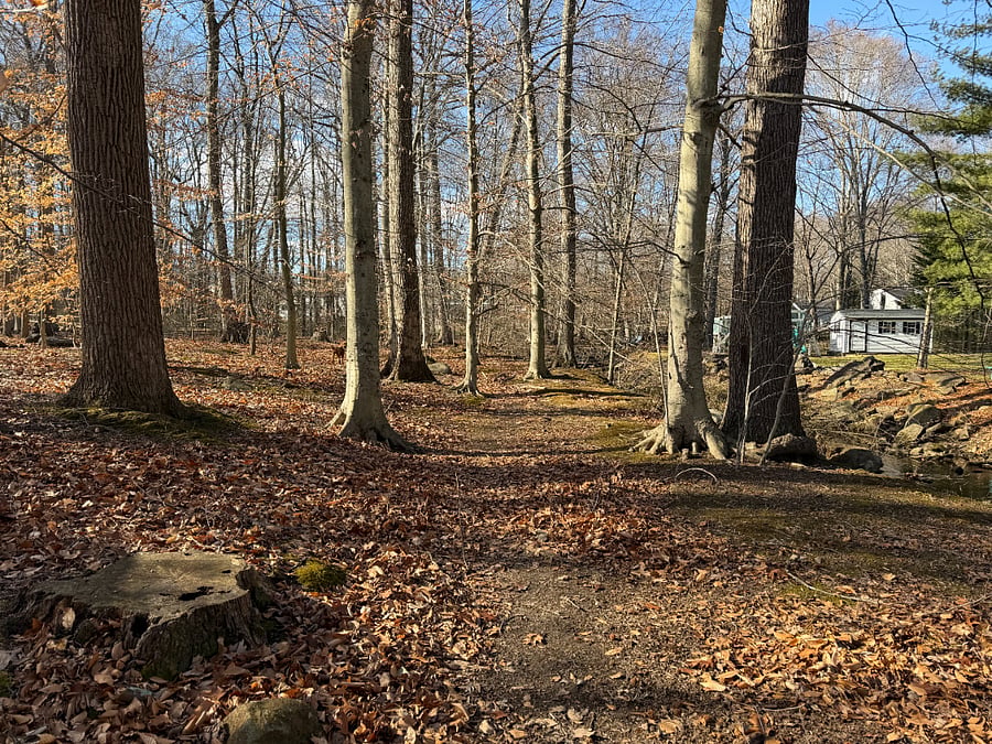 Paths nearby