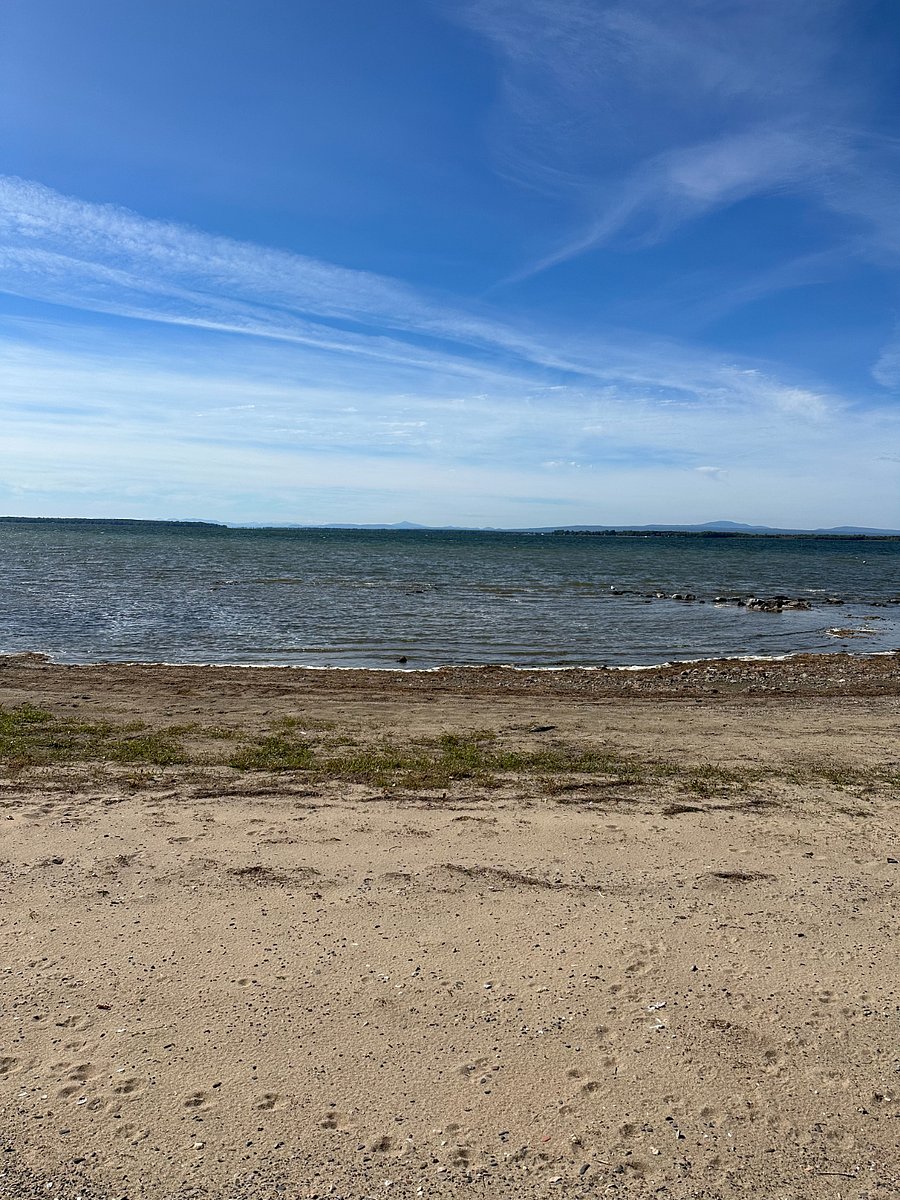 sandy beach 