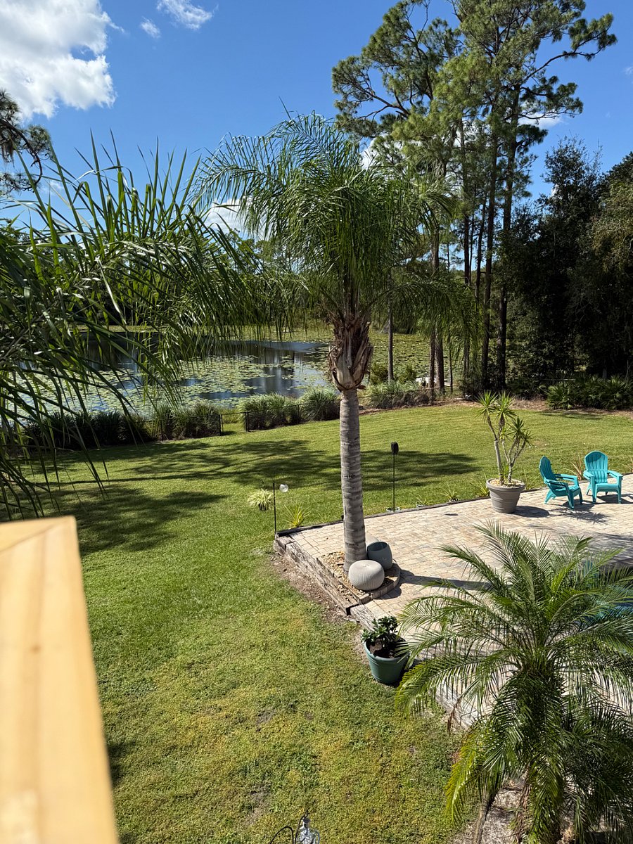 Furnished Finder property 931590_1 photo 17