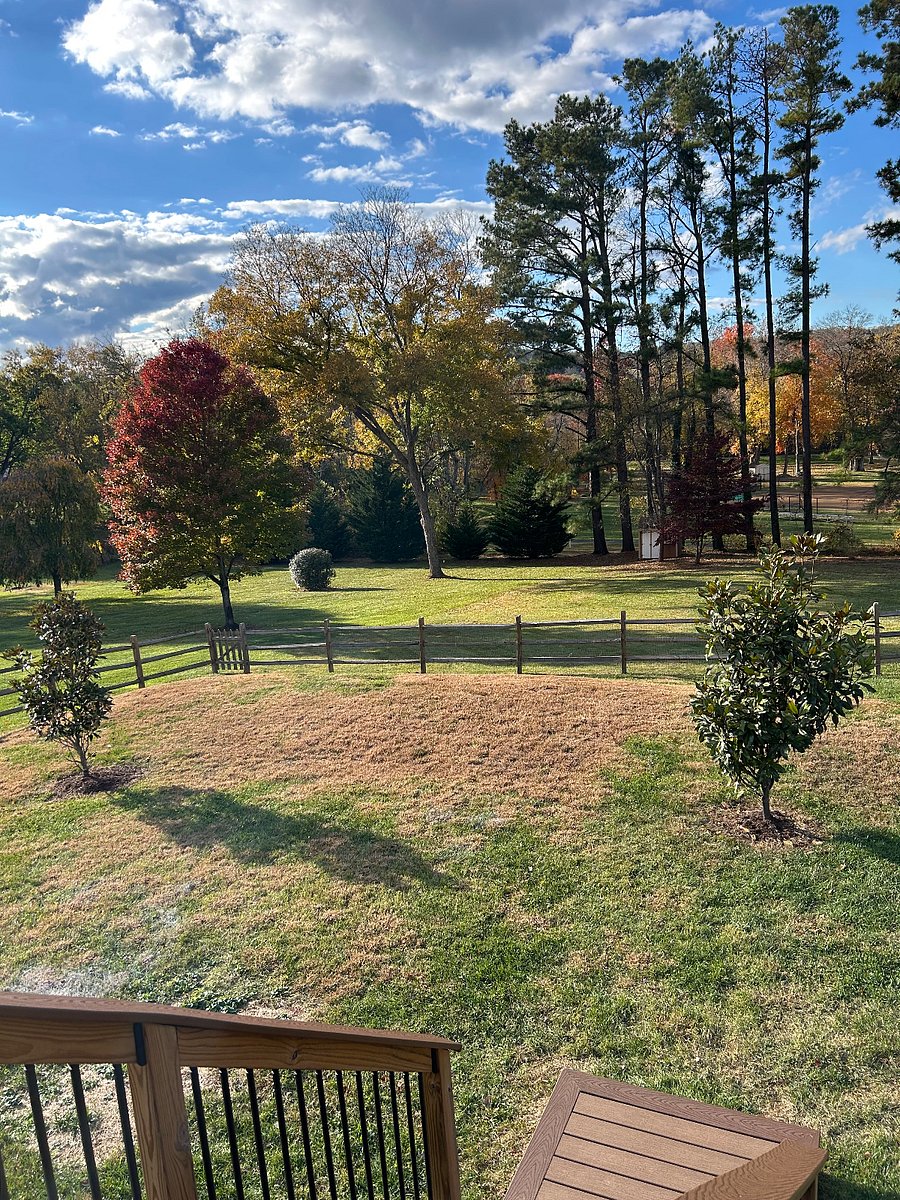 View of park and walking trails from the apartment's private patio.