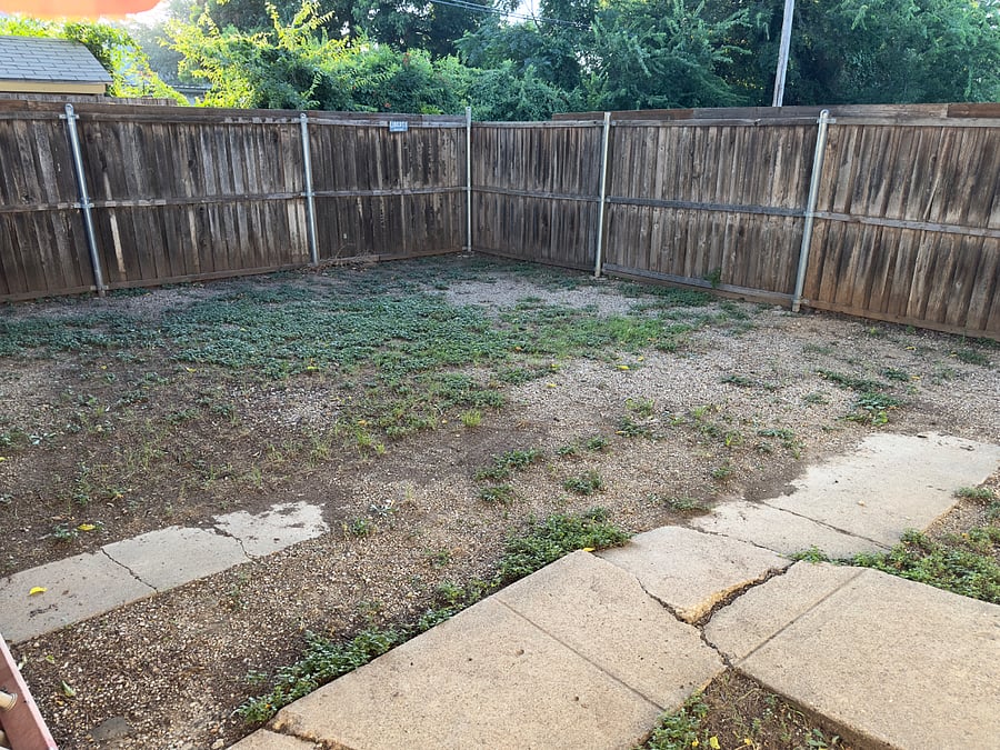 Backyard