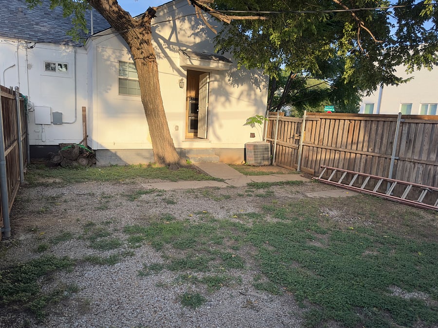 Backyard back yard