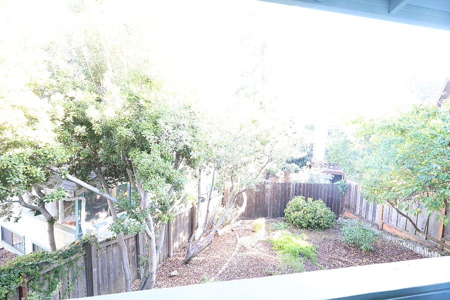 shared backyard