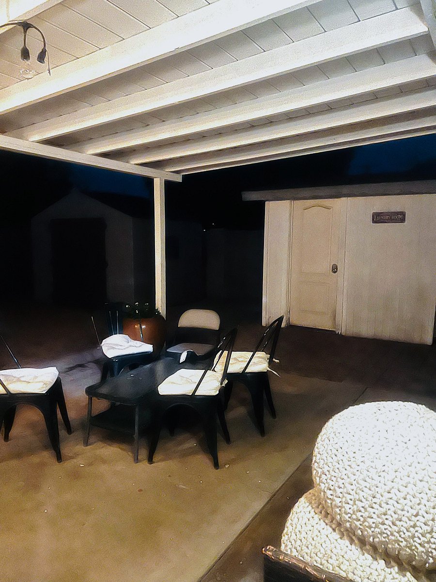 Back yard