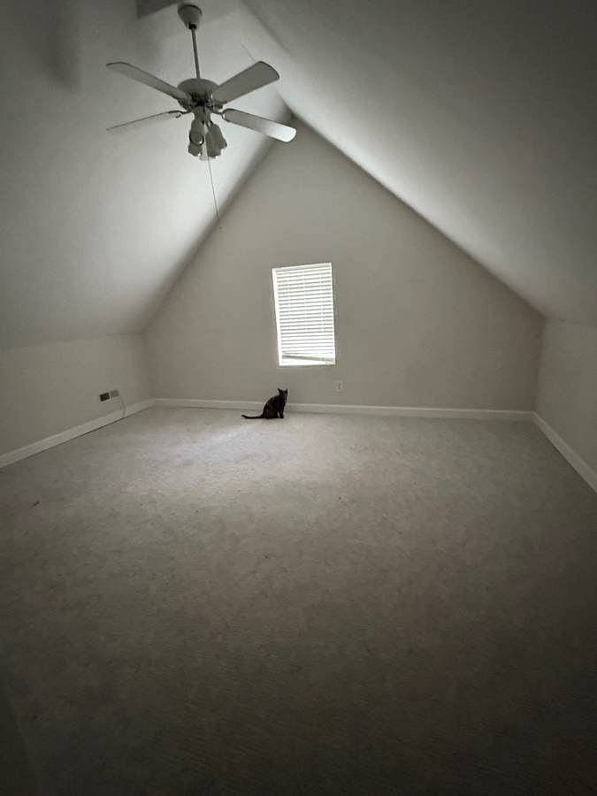 Furnished Finder property 932215_1 photo 4