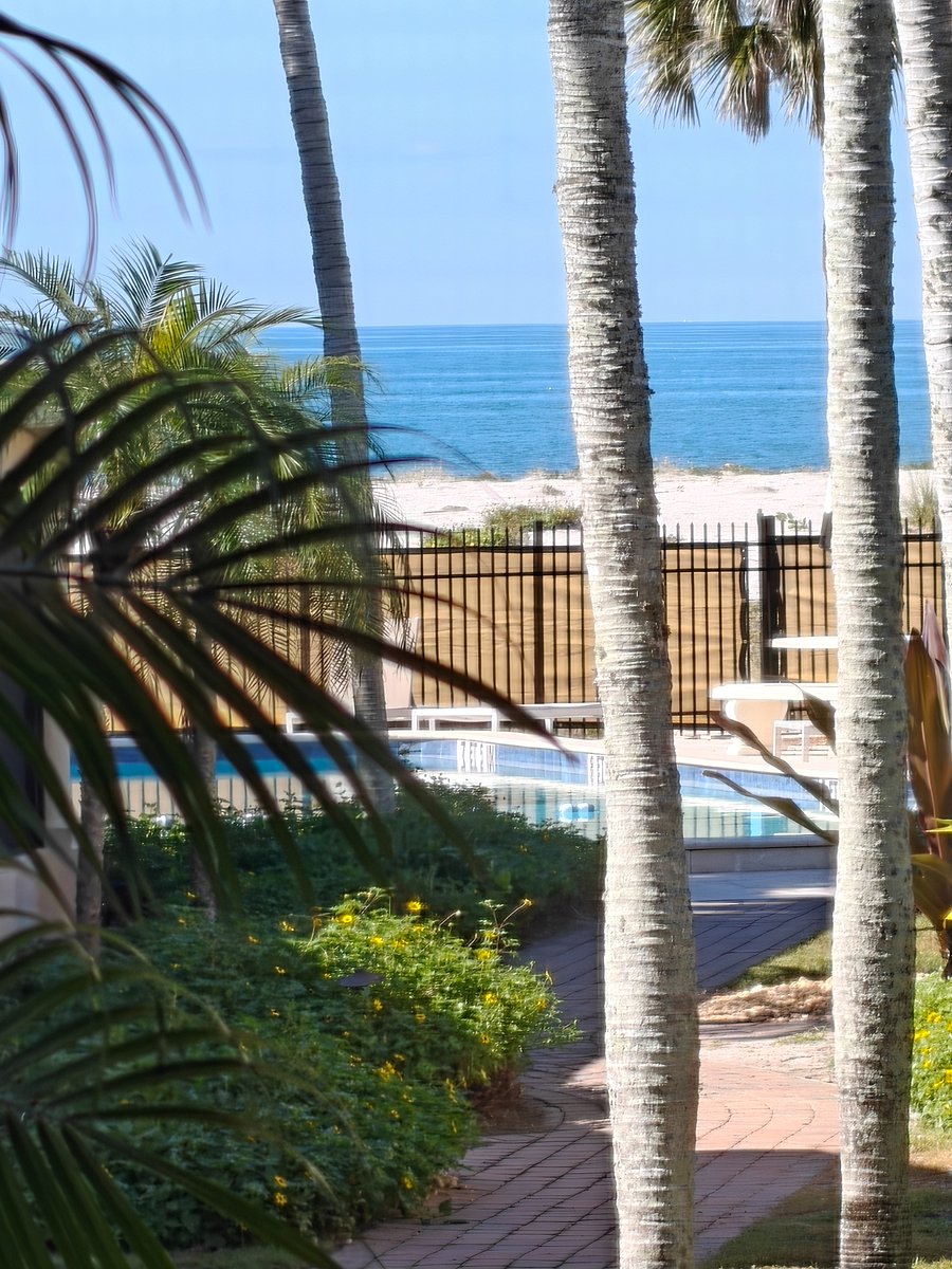 View from Lanai #1
