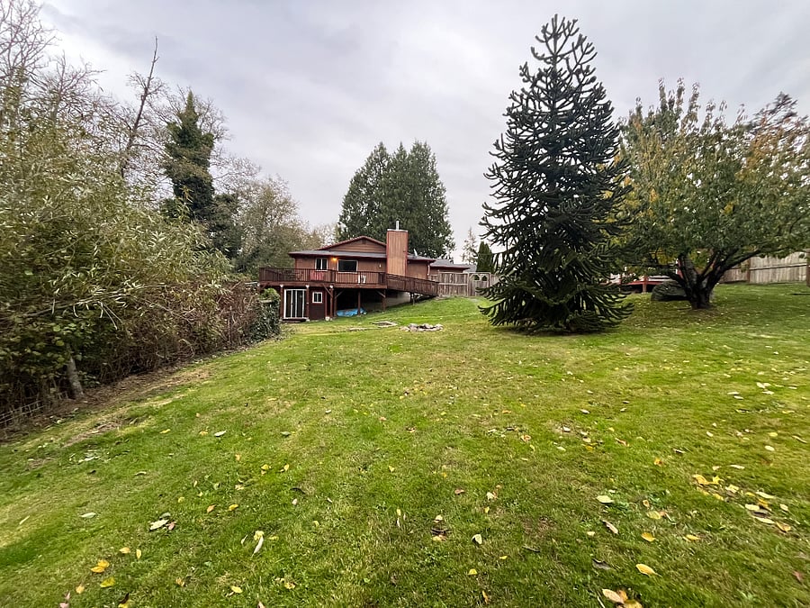 Backyard