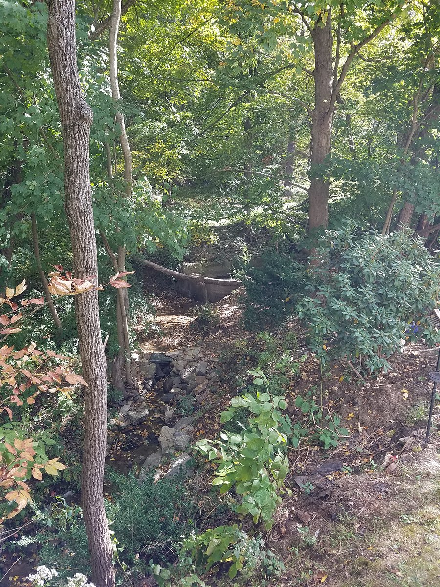 Outdoor scene from workspace windows