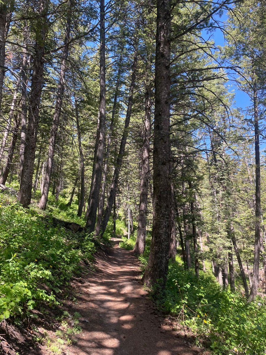 mountain biking, hiking and back country ski trails within a two minute drive up the street from the house.