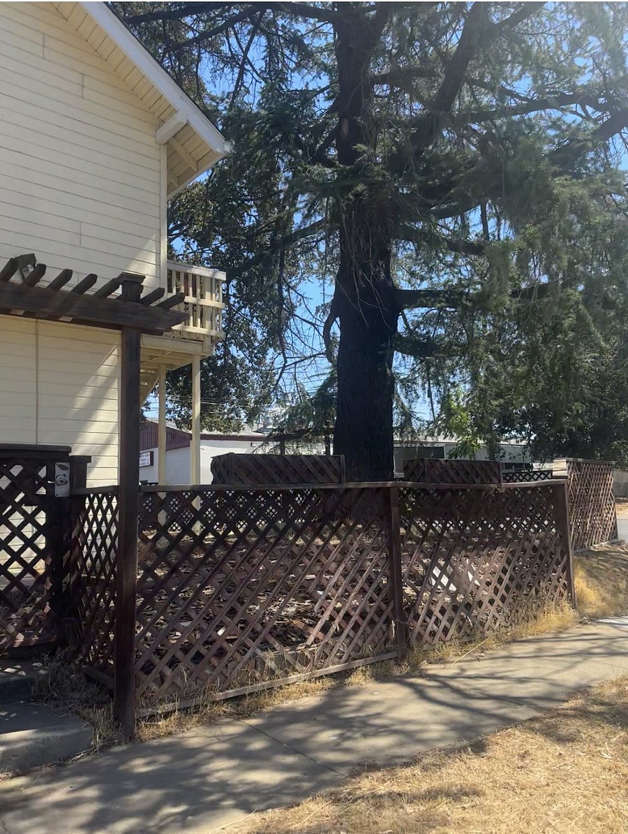 Semi-private yard with shade tree