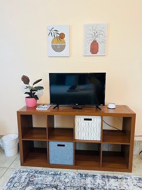 TV with Roku