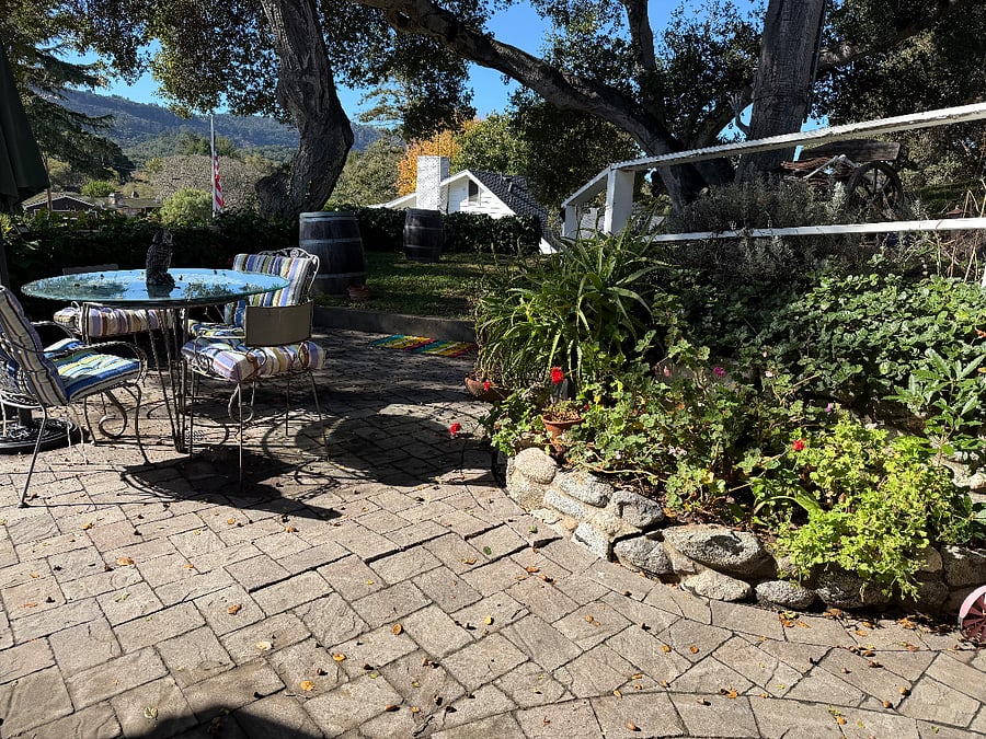 Back yard