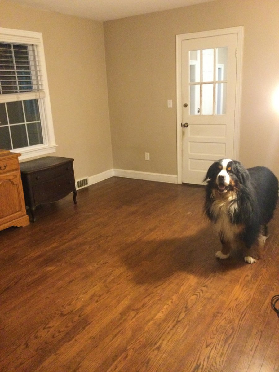 Furnished Finder property 932919_1 photo 9