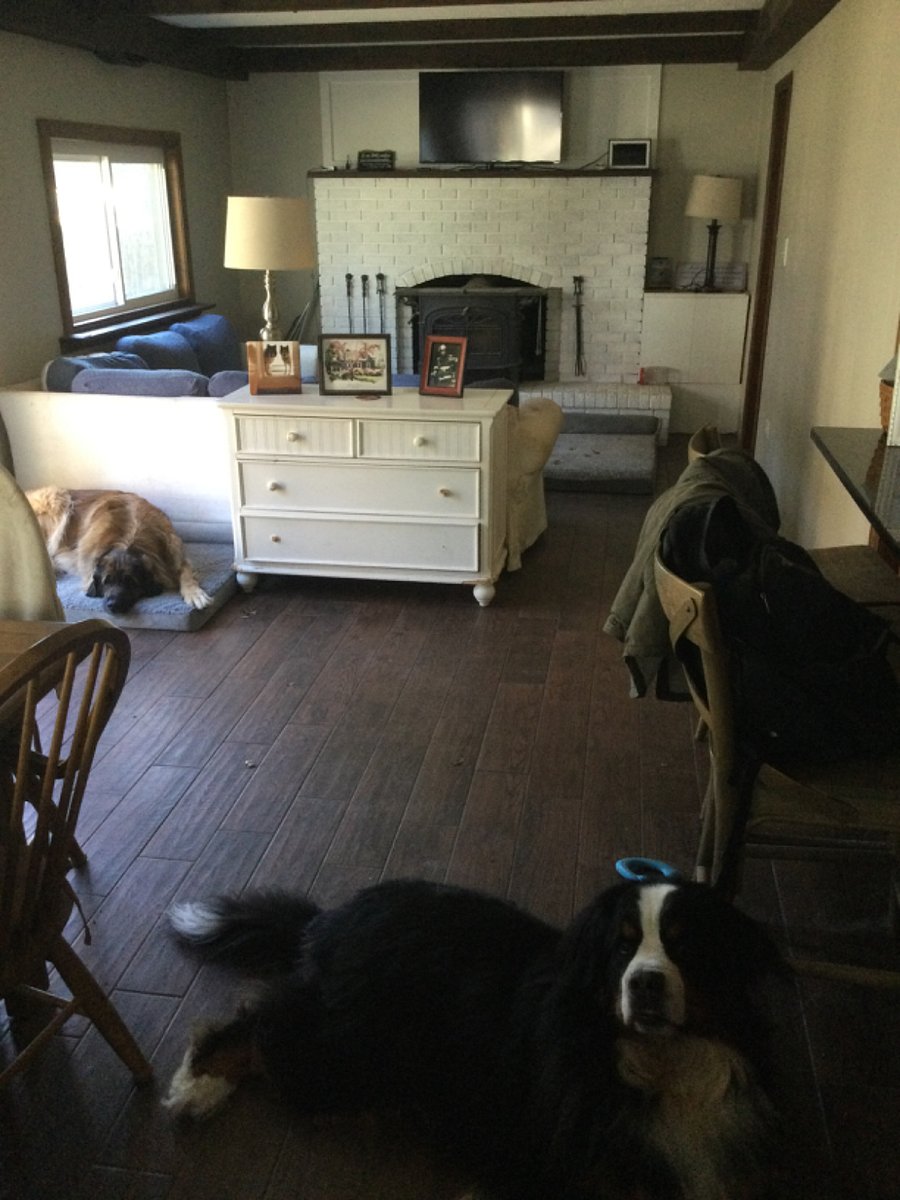 Furnished Finder property 932919_1 photo 12