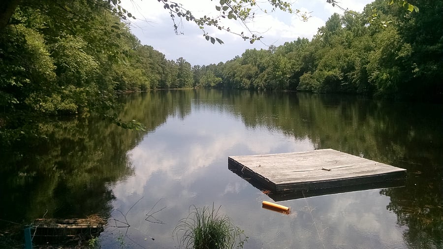 Swimming lake