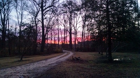 East view of driveway