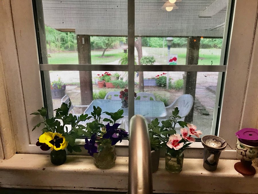 View from downstairs kitchen window.