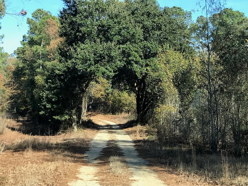Driveway