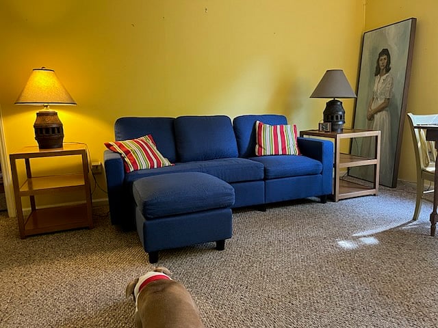 Living room with kitchen at outer end.